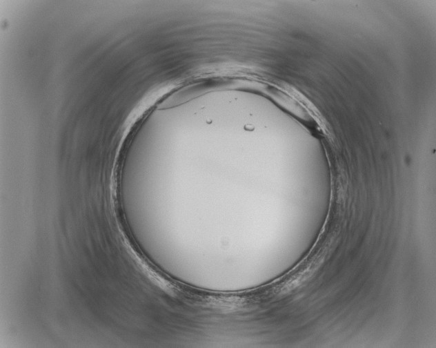 X0000081581285200702051230