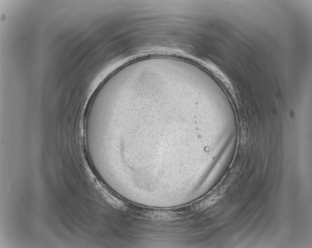 X0000081581287200702051230