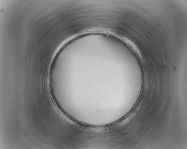 X0000081581288200702051230