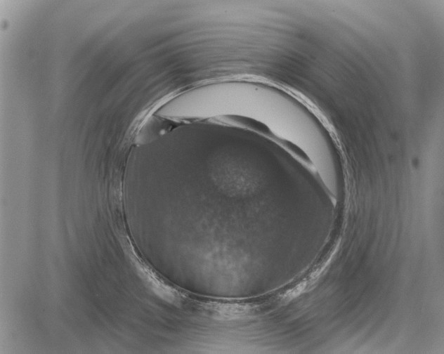 X0000081581289200702051230