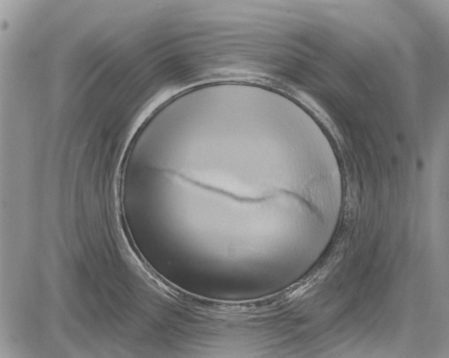 X0000081581291200702051230