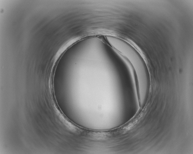 X0000081581293200702051230