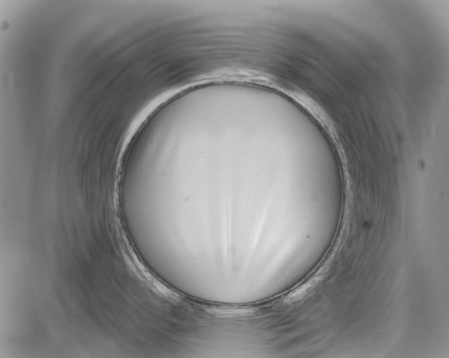 X0000081581296200702051230