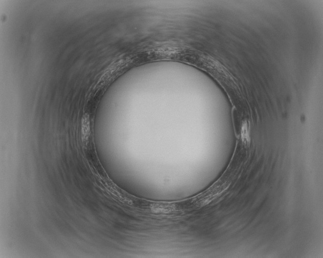 X0000081581299200702051229