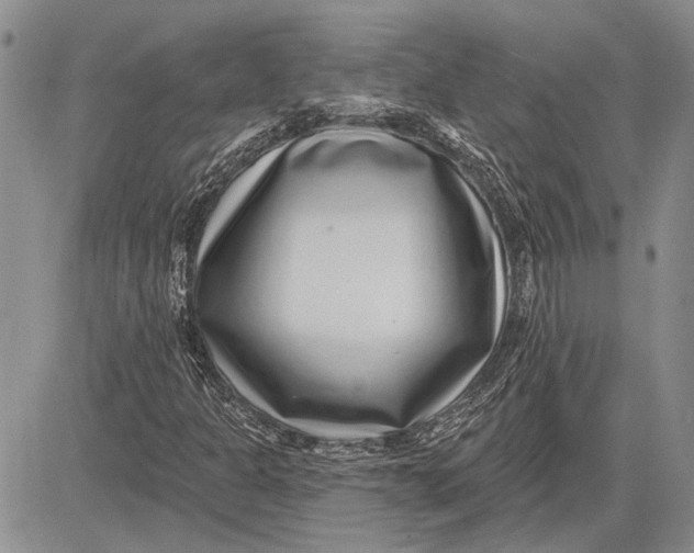 X0000081581301200702051229