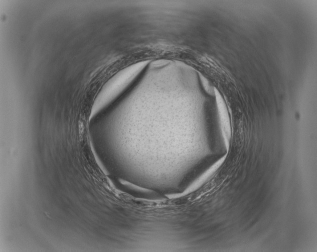 X0000081581302200702051229