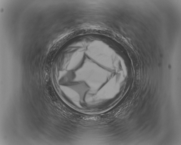 X0000081581303200702051229