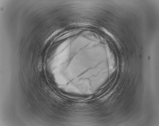 X0000081581306200702051229