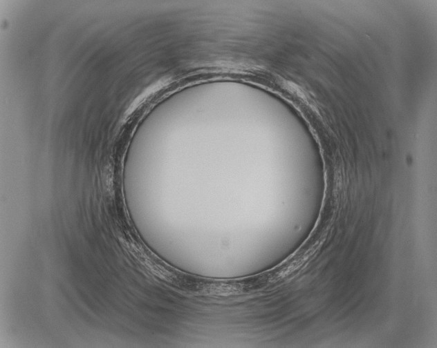 X0000081581307200702051229