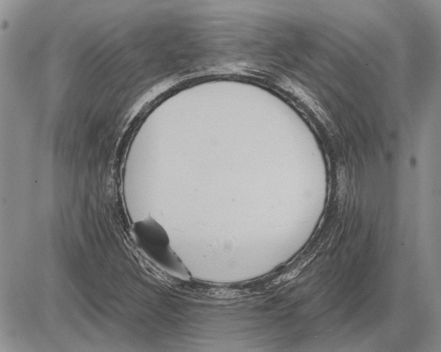 X0000081581308200702051229