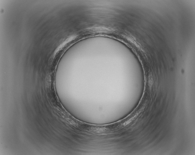 X0000081581309200702051229