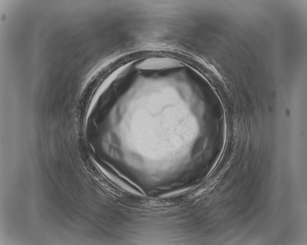 X0000081581311200702051229