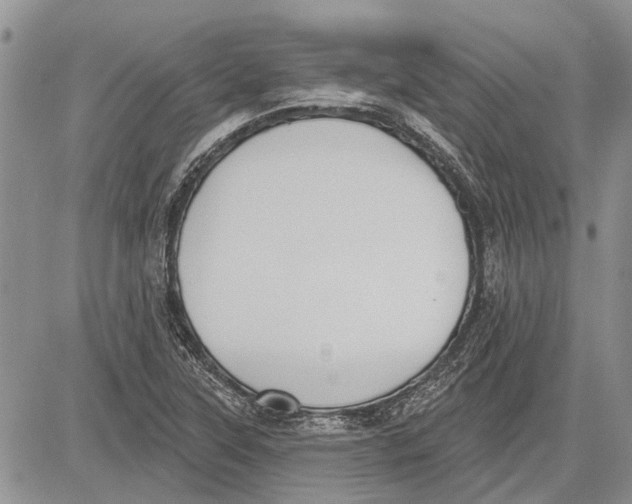 X0000081581315200702051229