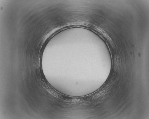 X0000081581316200702051229