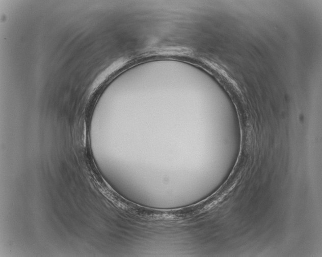 X0000081581317200702051229