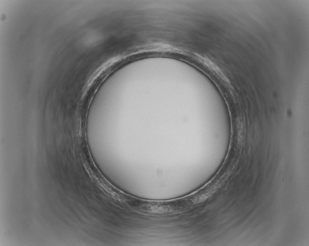 X0000081581318200702051229