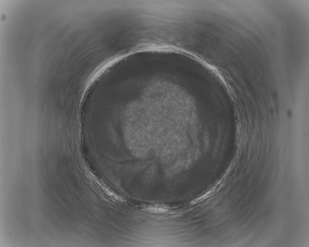 X0000081581319200702051229