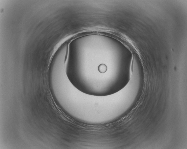 X0000081581320200702051229