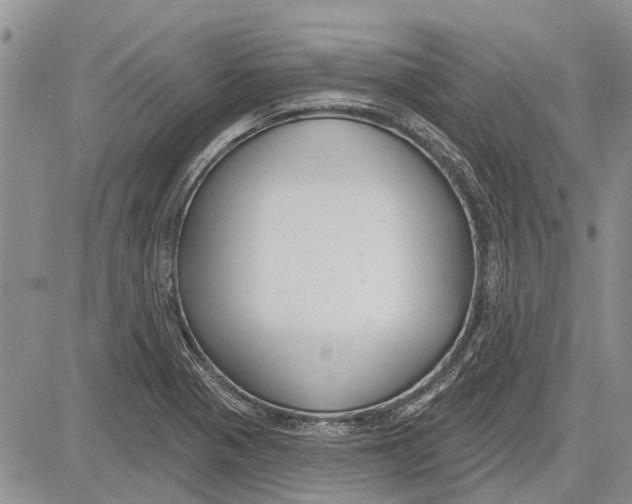 X0000081581321200702051229