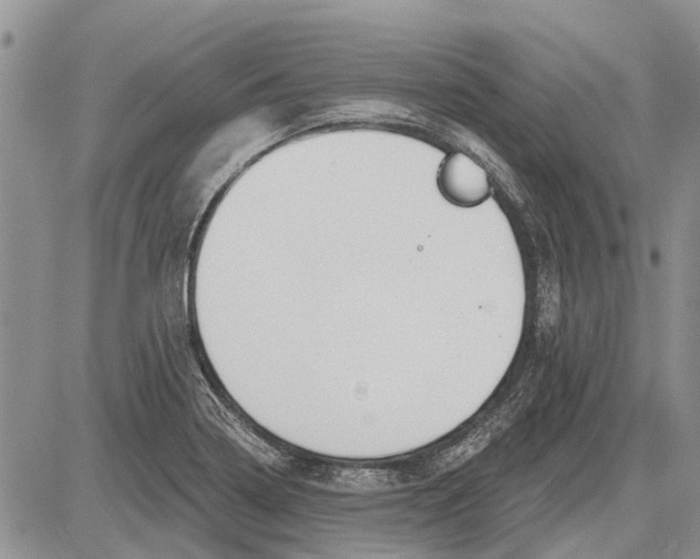 X0000081581322200702051229