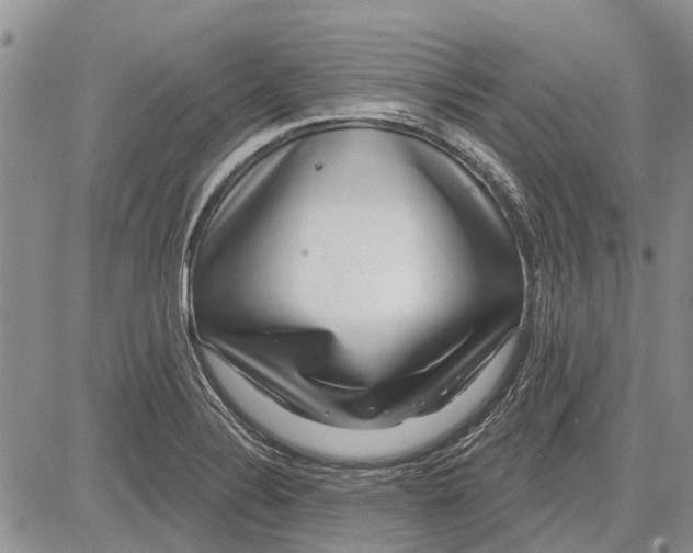 X0000081581324200702051229