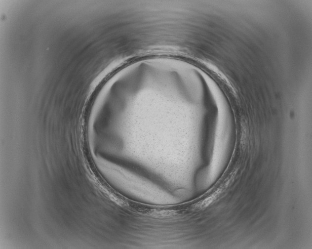 X0000081581325200702051229