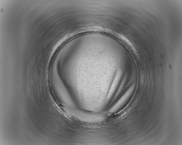 X0000081581326200702051229