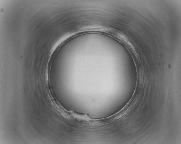 X0000081581328200702051229