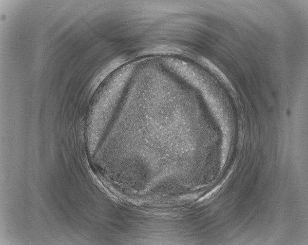 X0000081581329200702051229