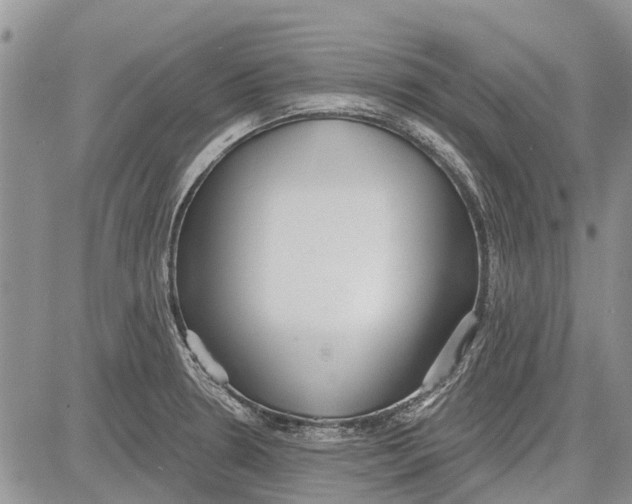 X0000081581330200702051229