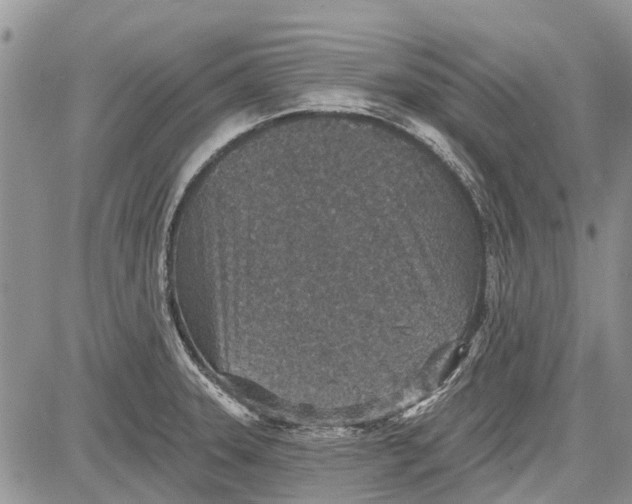 X0000081581331200702051229