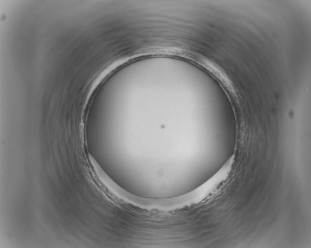 X0000081581332200702051229