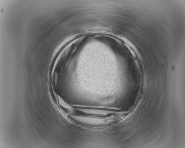 X0000081581333200702051229