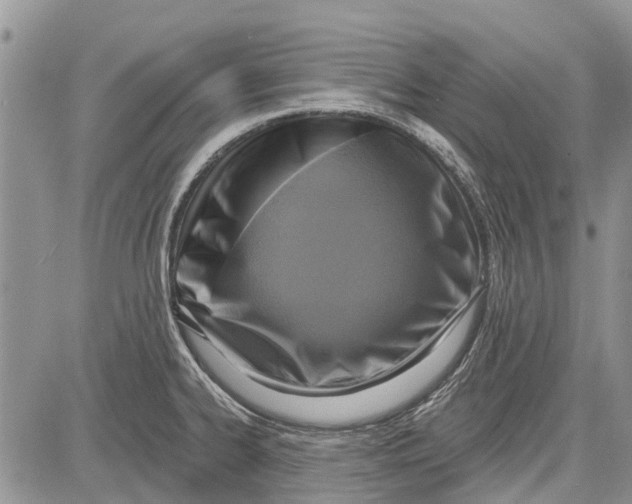 X0000081581334200702051229