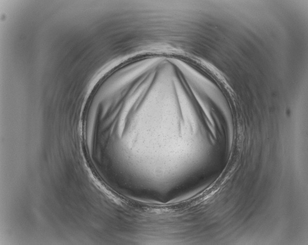 X0000081581335200702051229