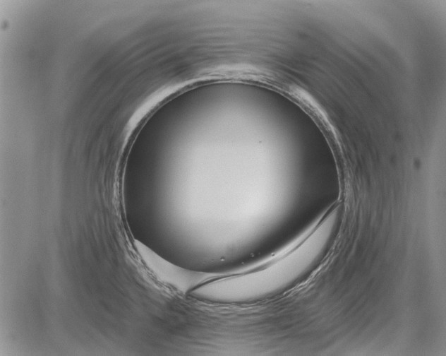 X0000081581336200702051229