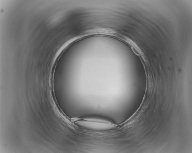 X0000081581339200702051230