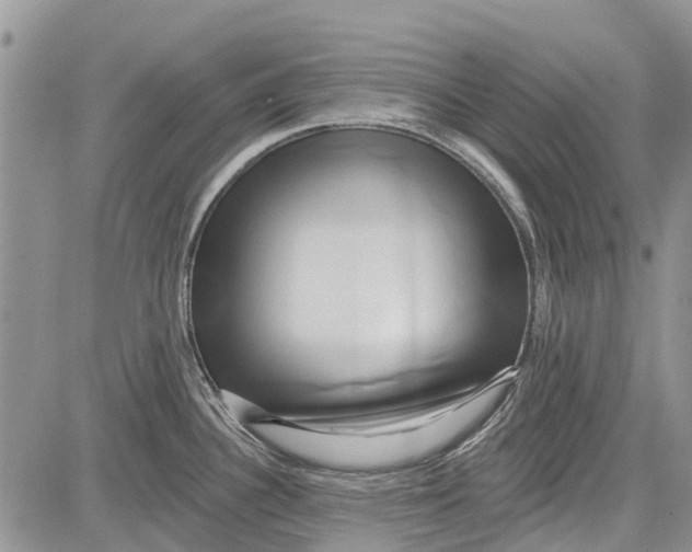 X0000081581340200702051230