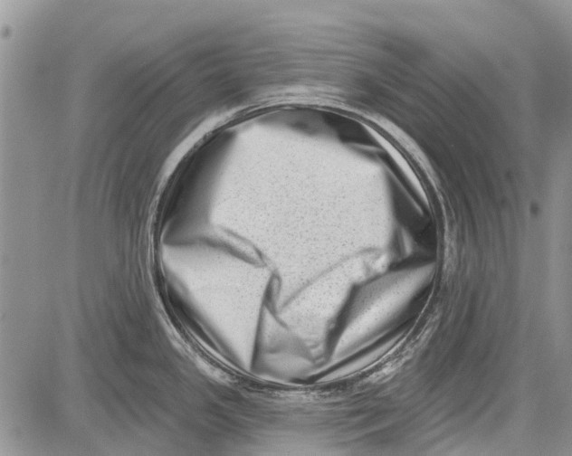 X0000081581341200702051230