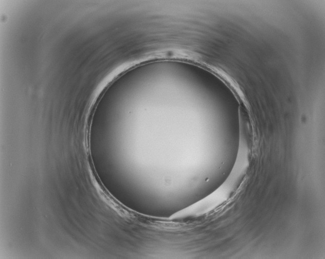 X0000081581342200702051230