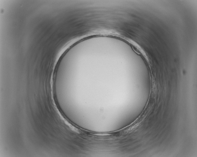 X0000081581343200702051230