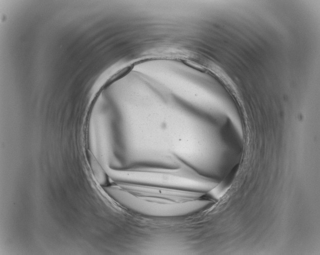 X0000081581344200702051230