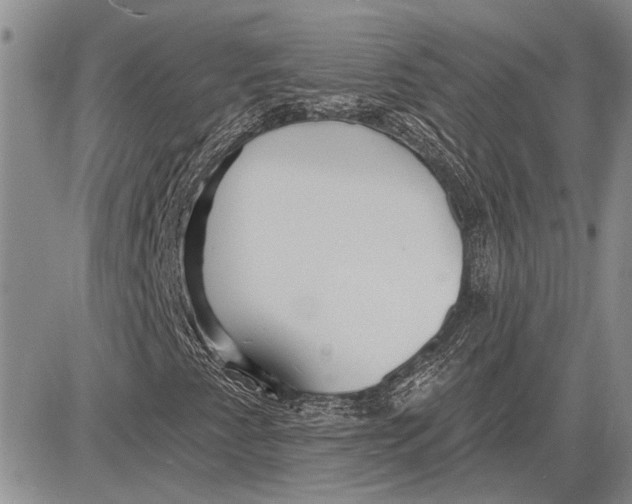 X0000081581345200702051229