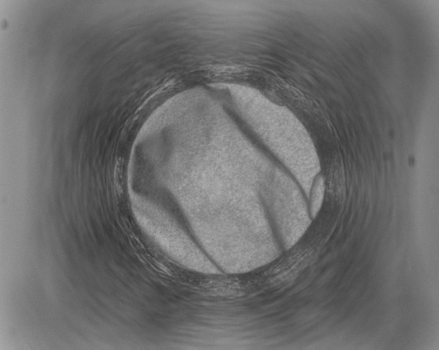 X0000081581346200702051229