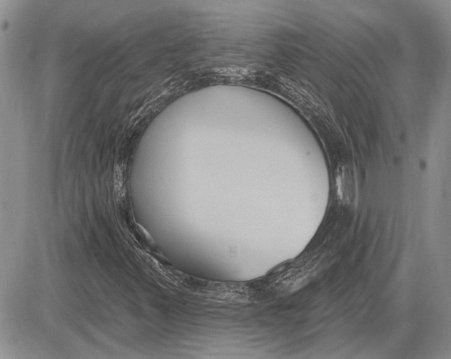 X0000081581347200702051229