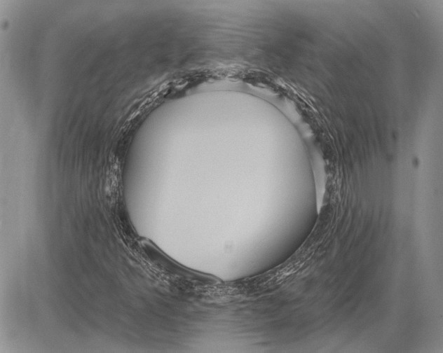 X0000081581349200702051229