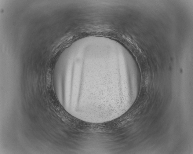 X0000081581350200702051229