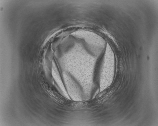 X0000081581352200702051229