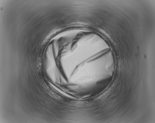 X0000081581355200702051229