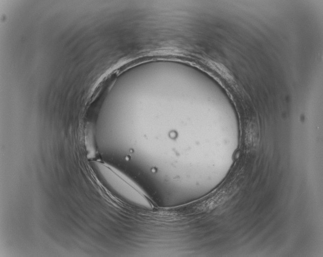 X0000081581356200702051229